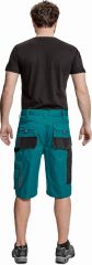CARL BE-01-009 šortky zelená/černá